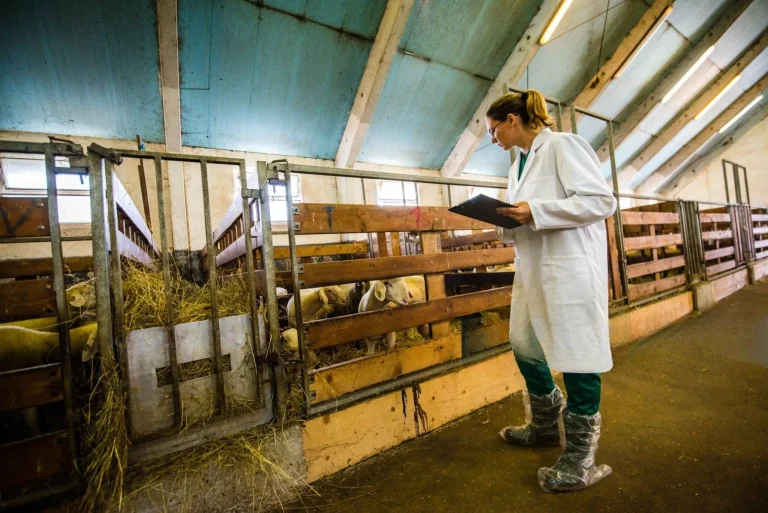 Valtoris vs Siemens: Why Our LoRa Solution Outperforms for Agricultural Monitoring